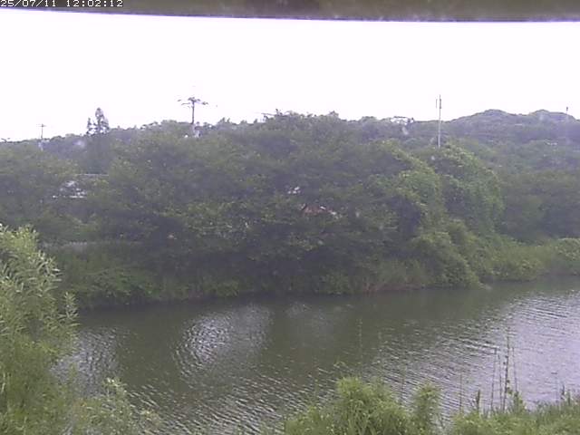 取得できませんでした