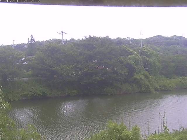 取得できませんでした