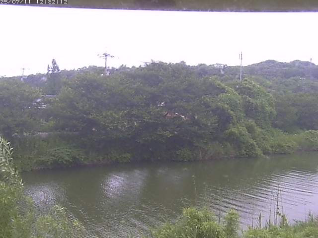 取得できませんでした