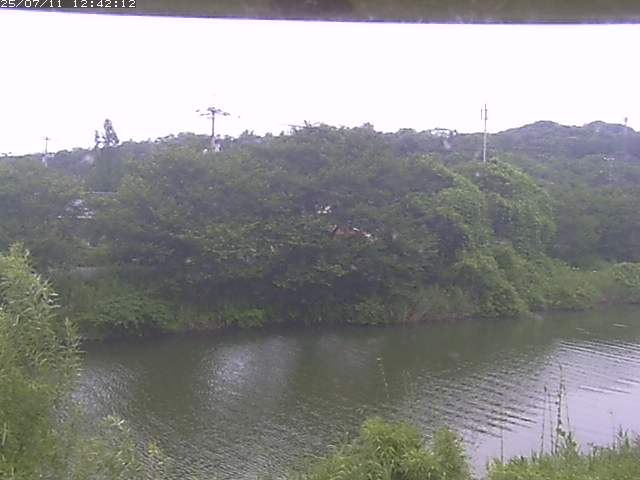 取得できませんでした