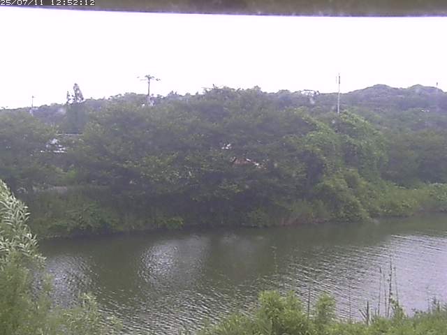 取得できませんでした
