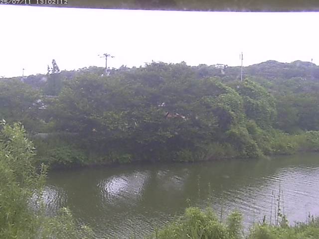 取得できませんでした