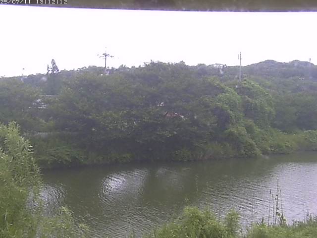 取得できませんでした
