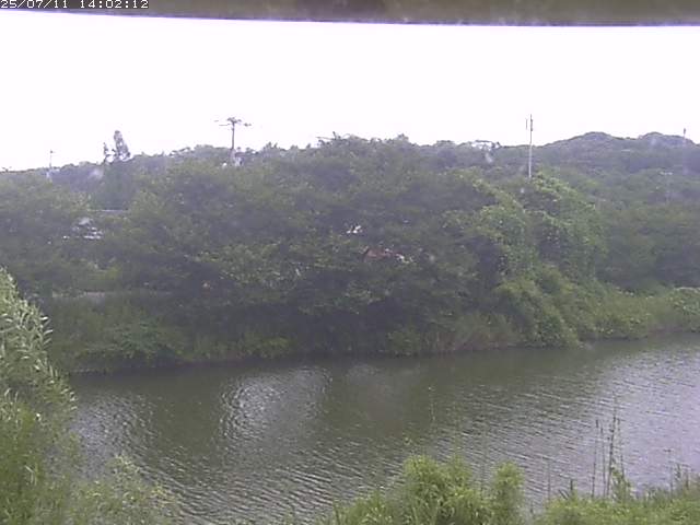取得できませんでした