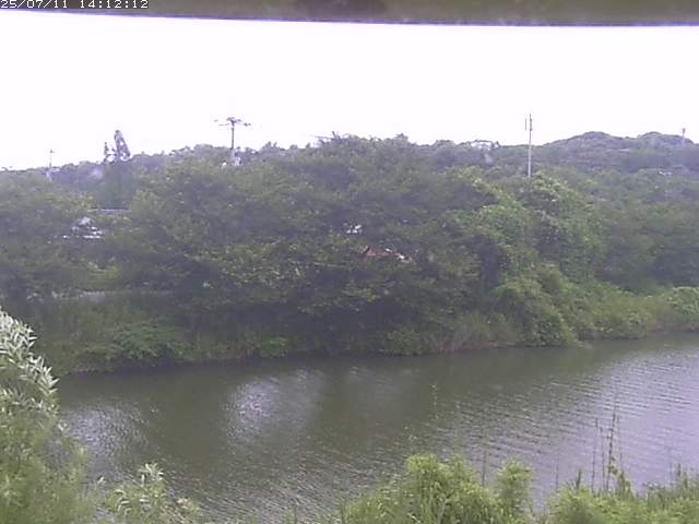 取得できませんでした