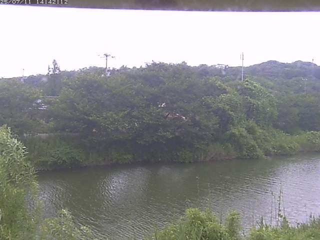 取得できませんでした