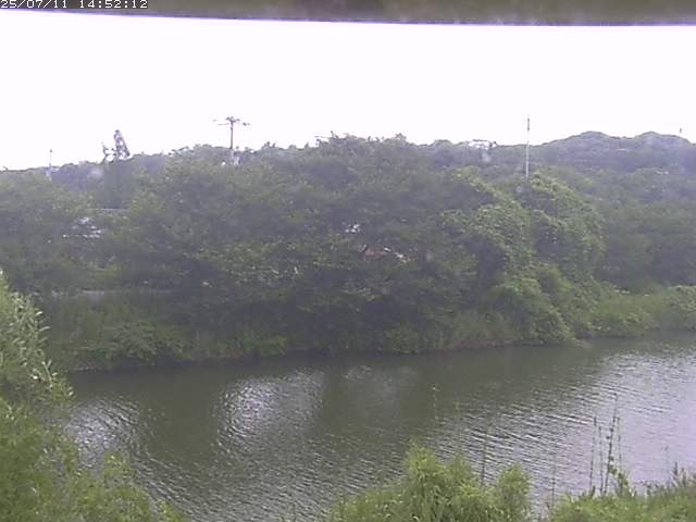取得できませんでした