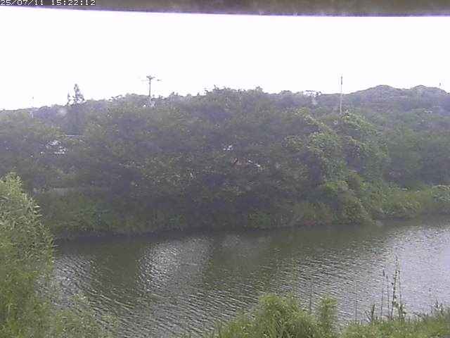 取得できませんでした