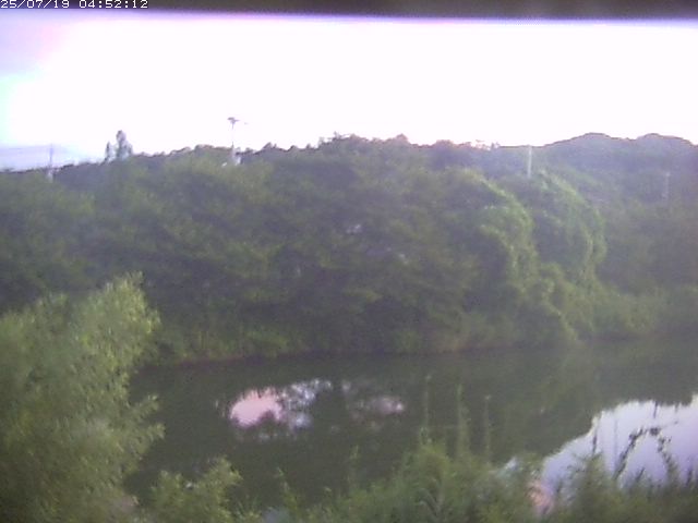 取得できませんでした