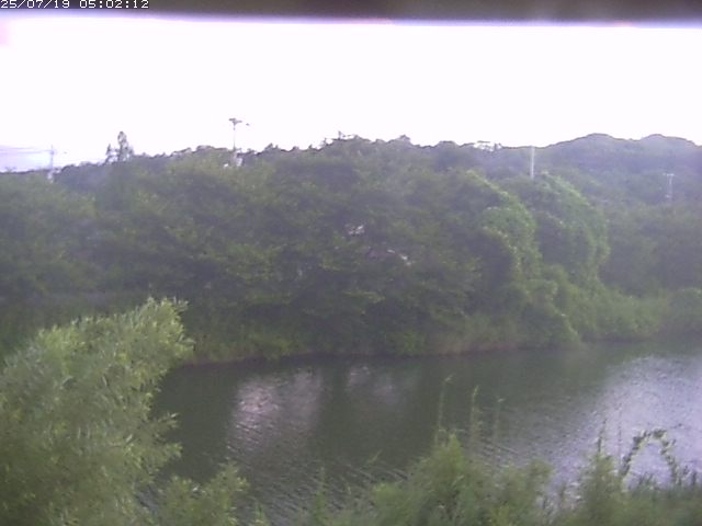 取得できませんでした
