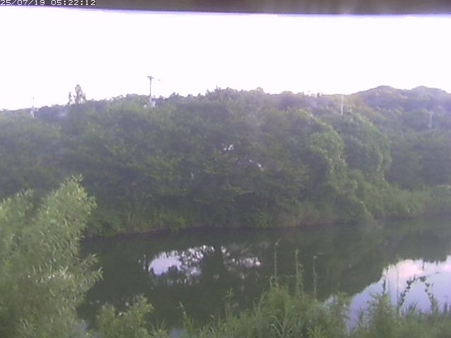 取得できませんでした