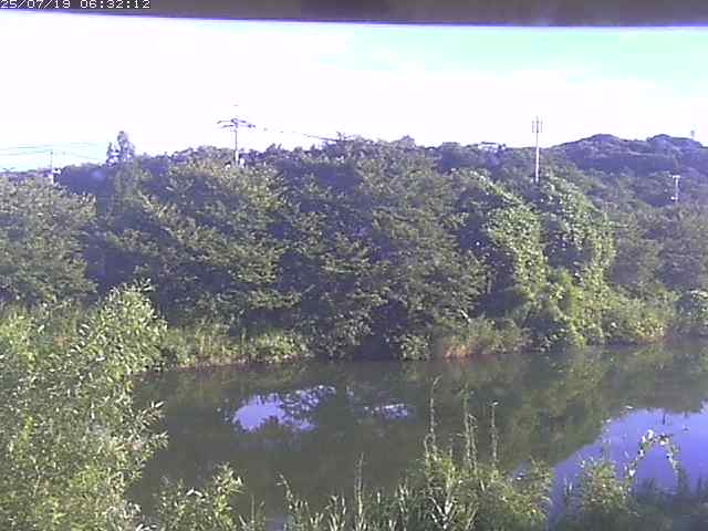 取得できませんでした