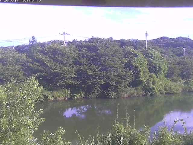 取得できませんでした