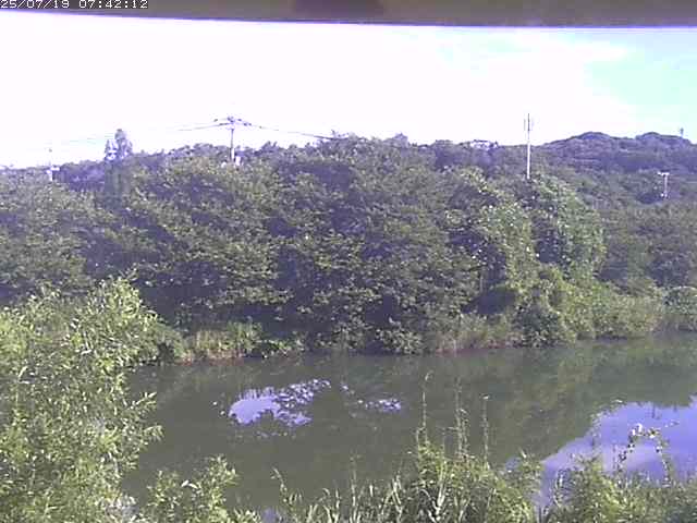 取得できませんでした