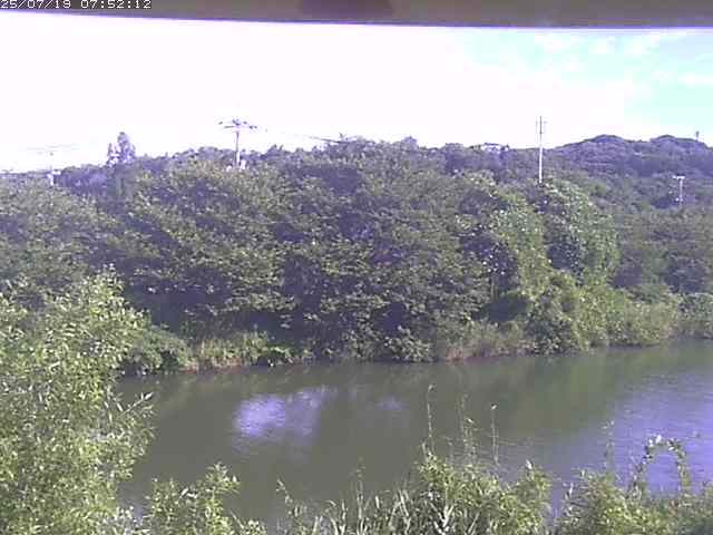 取得できませんでした