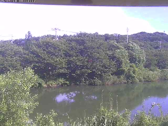 取得できませんでした