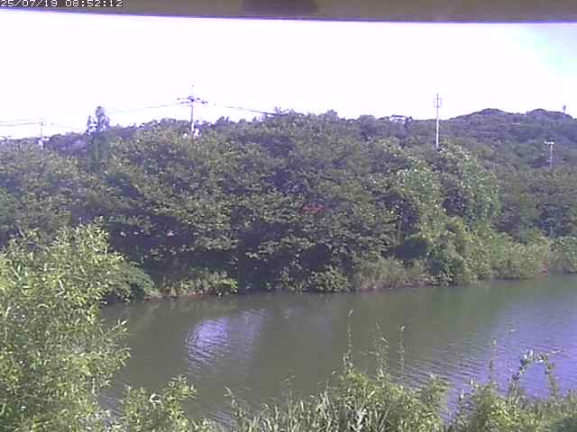 取得できませんでした