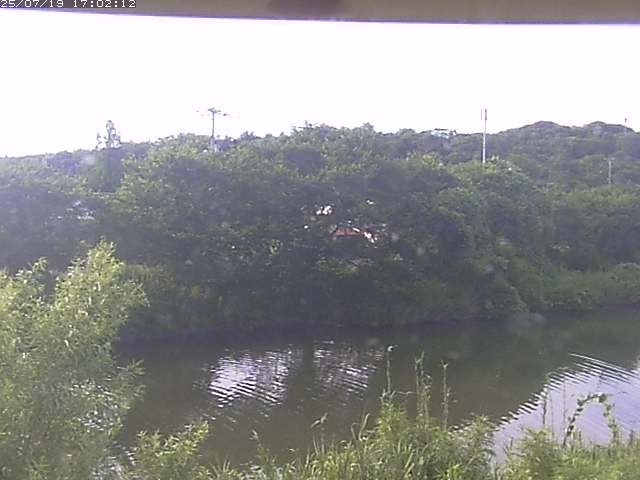 取得できませんでした