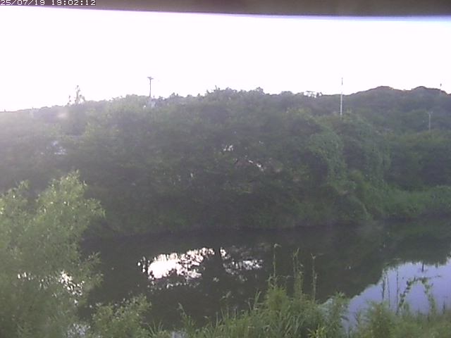 取得できませんでした