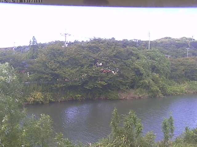 取得できませんでした