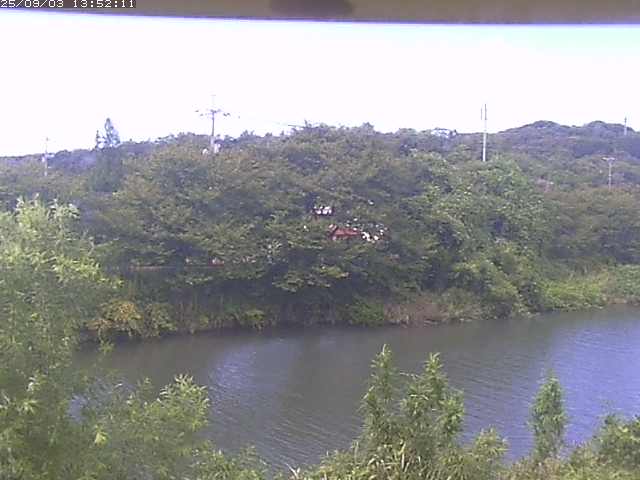 取得できませんでした