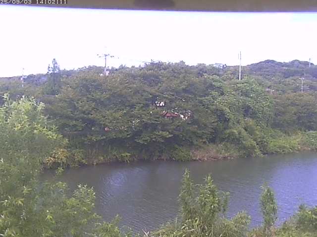 取得できませんでした