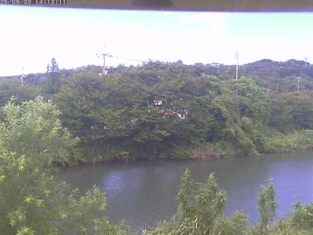 取得できませんでした