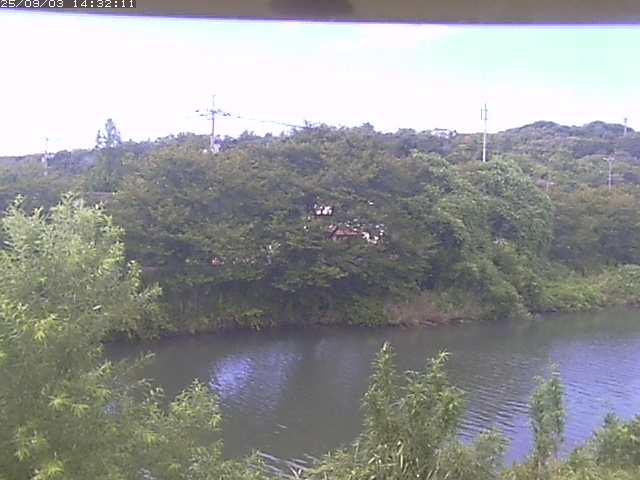 取得できませんでした