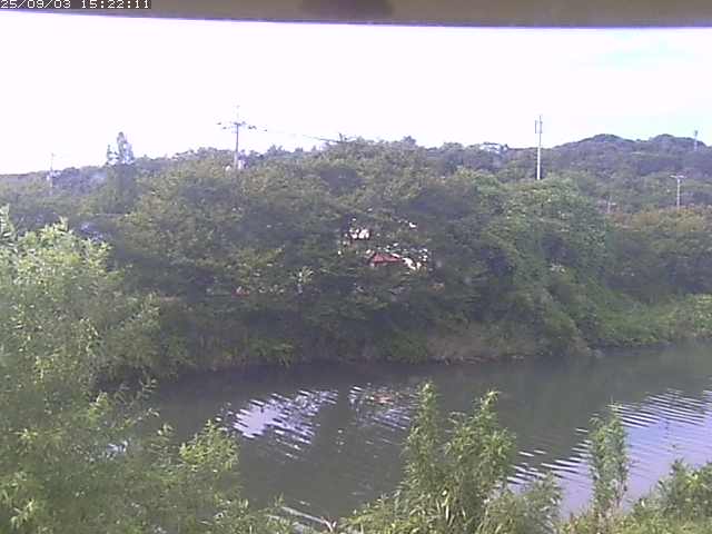 取得できませんでした