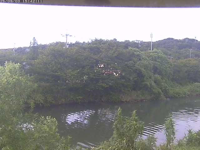 取得できませんでした