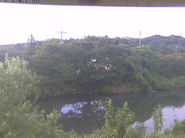 取得できませんでした