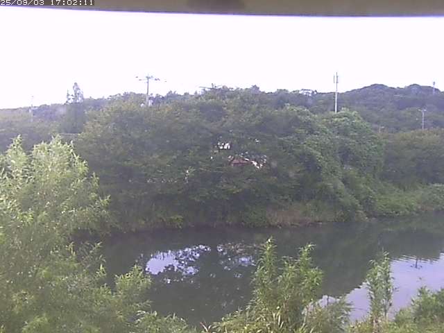 取得できませんでした