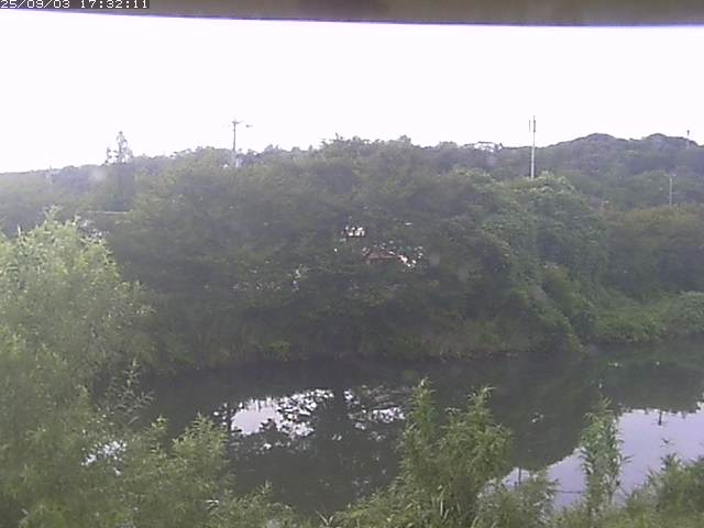 取得できませんでした