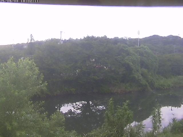 取得できませんでした