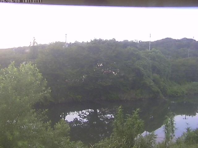 取得できませんでした