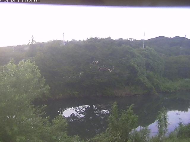 取得できませんでした