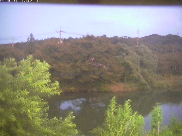 取得できませんでした