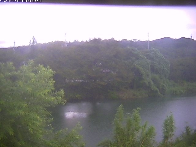 取得できませんでした
