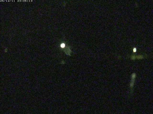 取得できませんでした