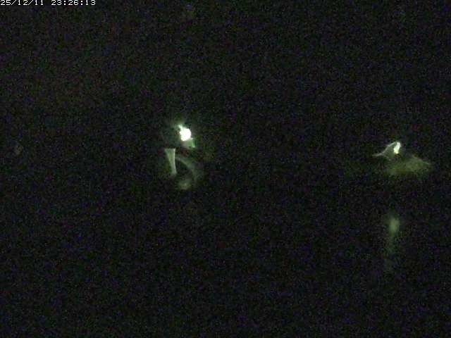 取得できませんでした