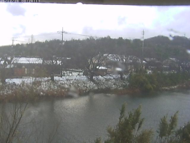 取得できませんでした