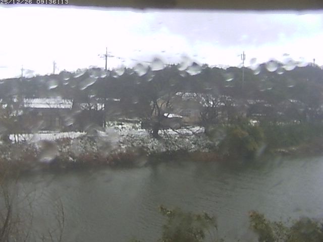 取得できませんでした