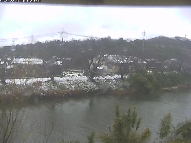 取得できませんでした