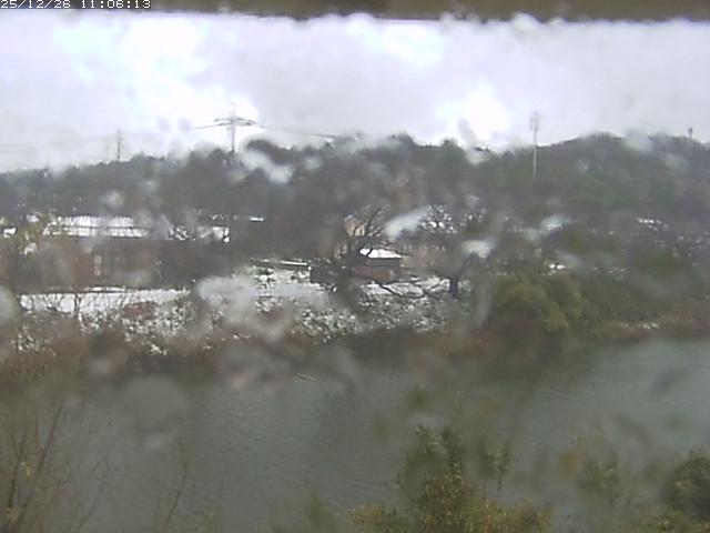 取得できませんでした