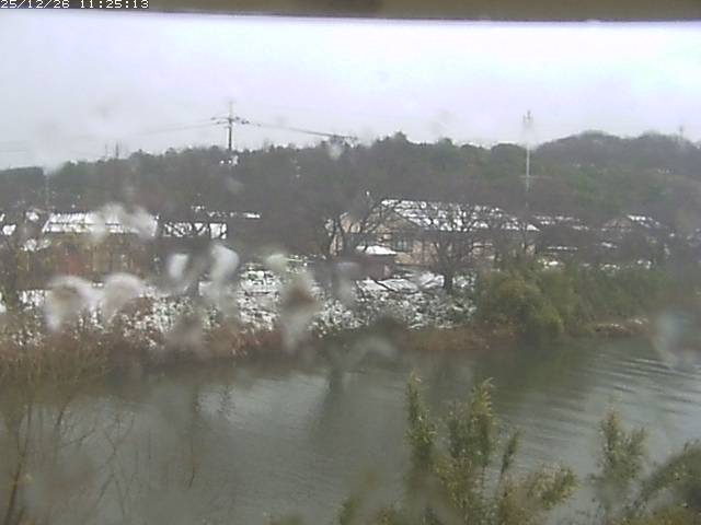 取得できませんでした