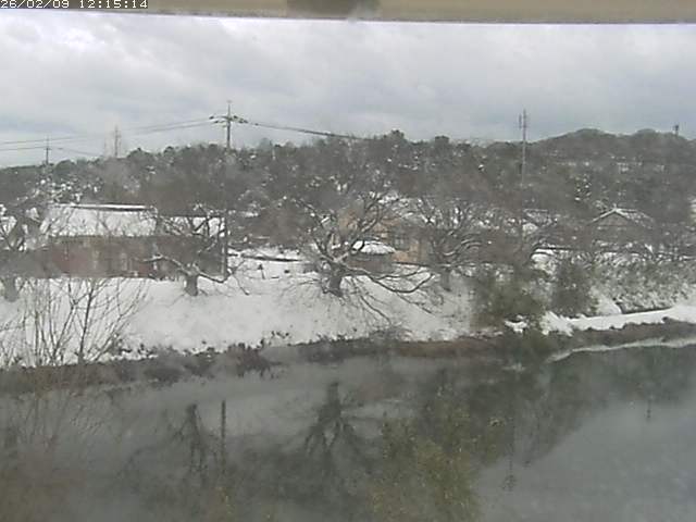 取得できませんでした