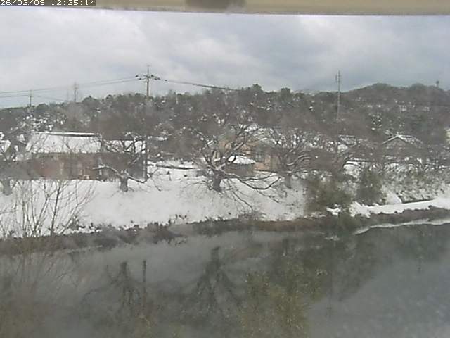 取得できませんでした