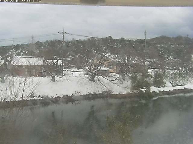 取得できませんでした