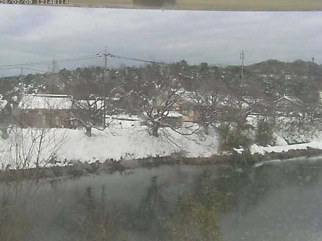 取得できませんでした