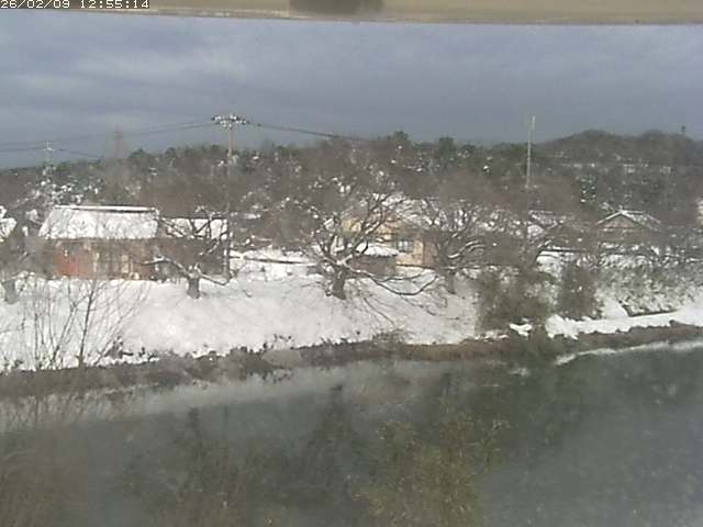 取得できませんでした